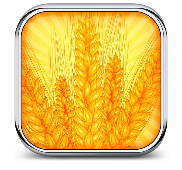 Icono cuadrado con trigo espigado — Vector de stock