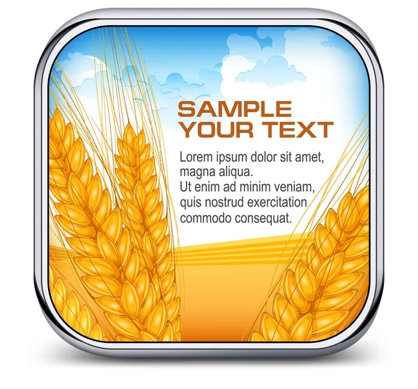 Square icon with ear wheat, & text — Stock Vector