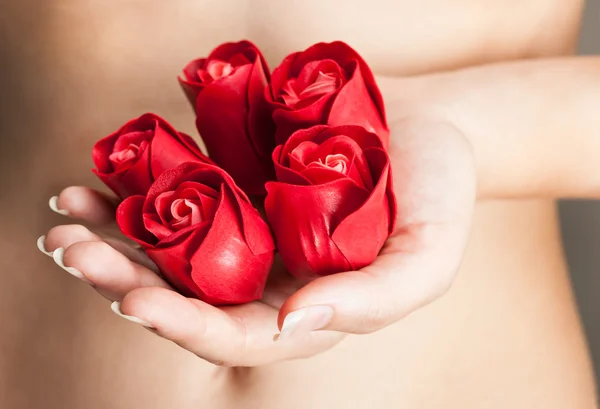 Händer är fulla av rosebuds — Stockfoto