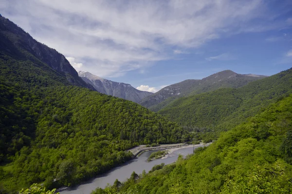 The mountain river in reserve — Stock Photo, Image