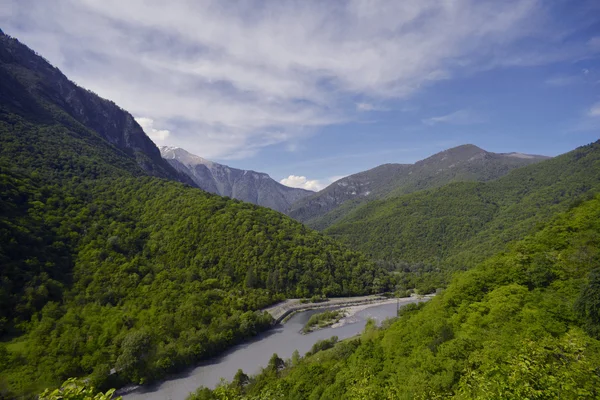El río de montaña en reserva Imágenes De Stock Sin Royalties Gratis