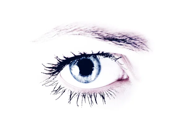 女性的眼球 — 图库照片