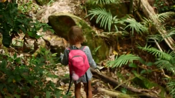 7 años niña caminando en un camino de montaña — Vídeos de Stock