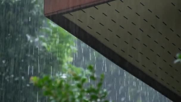 Thailand, rainy season. Roof of the house — Stock Video