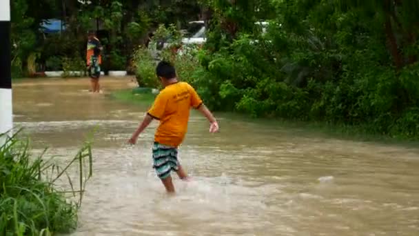 타이 의고 팡 간, 2021 년 12 월 1 일, 폭우가 쏟아진 후 그 섬의 홍수 — 비디오