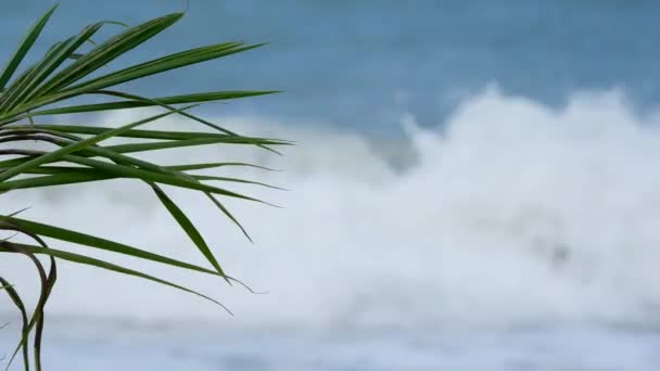 Een kleine storm op de kust van een eiland in Thailand — Stockvideo