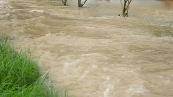 Důsledky období dešťů v Thajsku, zaplavené ulice ostrova — Stock video