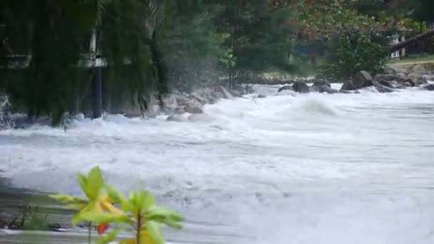 Tayland 'da bir adanın kıyısında küçük bir fırtına — Stok video