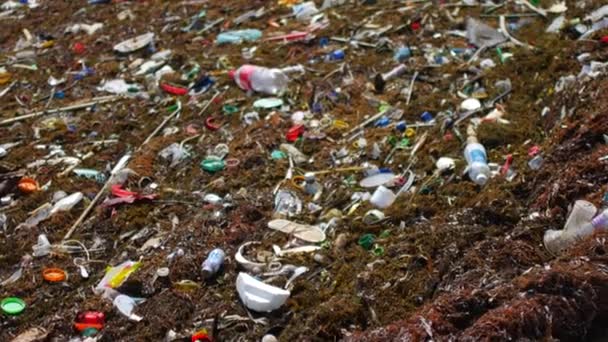 Plastic trash on the coast after high tide — Video Stock