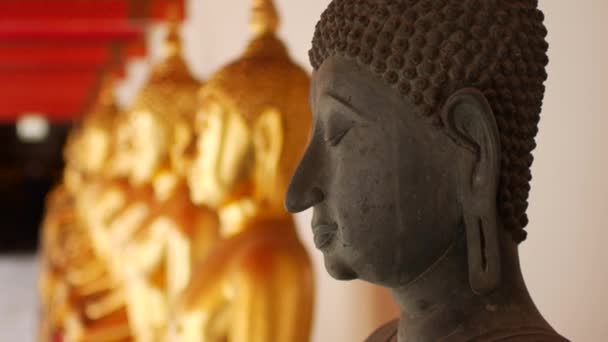 Много Золотых Статуй Буддийском Храме Таиланде — стоковое видео