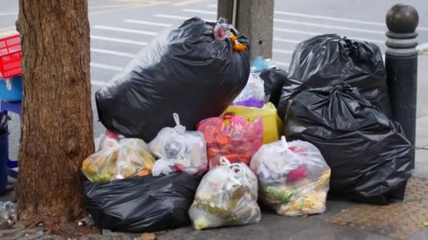 市里哨所周围的垃圾袋 — 图库视频影像