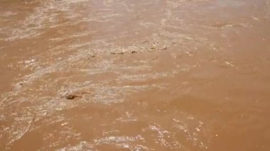 Tayland 'da bir nehirde çamurlu su.