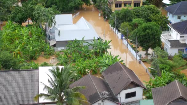 Zona Inundada Ciudad Tailandia Chiang Mai — Vídeo de stock