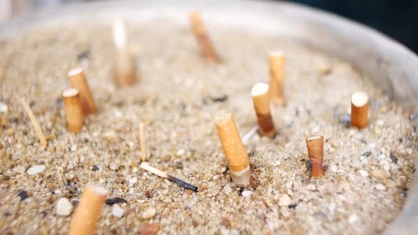 Γόπες Τσιγάρων Μια Τεφροδόχο — Αρχείο Βίντεο