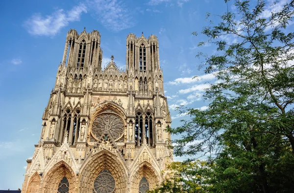 Notre-dame in reims — Stockfoto