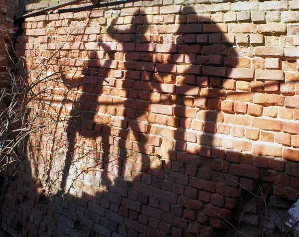 Group of human Shadows on the brick wall