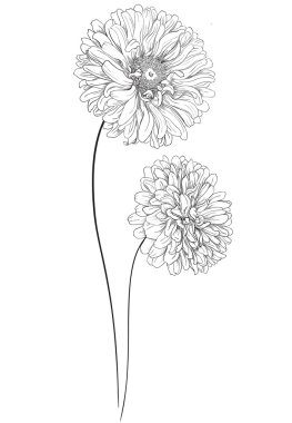 Free Free 295 Hand Drawn Wildflower Svg SVG PNG EPS DXF File