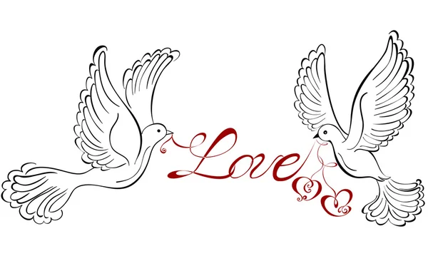Two love birds kissing - Assaf Frank