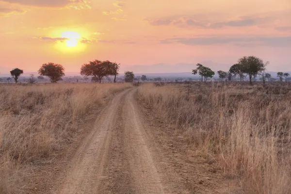 Afrikaanse savanne — Stockfoto