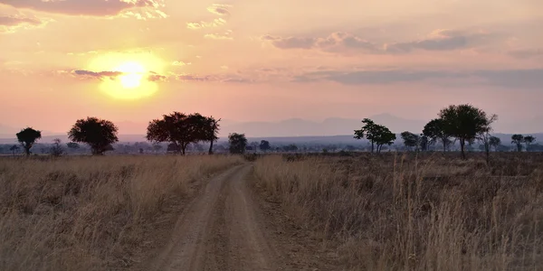 Afrika savana — Stok fotoğraf