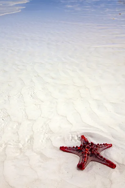 Praia de Zanzibar — Fotografia de Stock