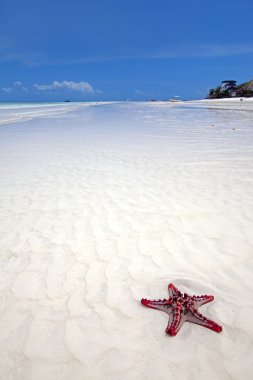 Zanzibar beach
