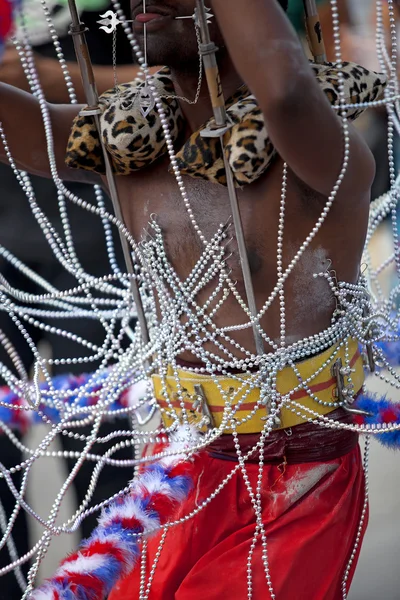 Thaipusam Festival — Stockfoto