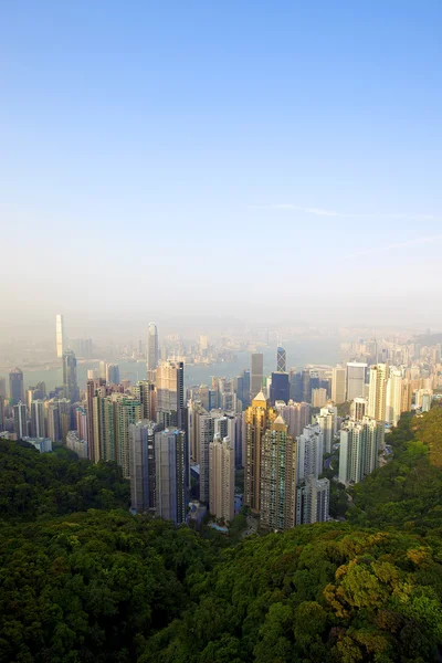 Honk Kong manzarası — Stok fotoğraf