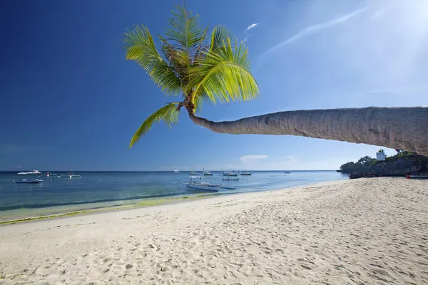 Wyspa Panglao, bohol — Zdjęcie stockowe