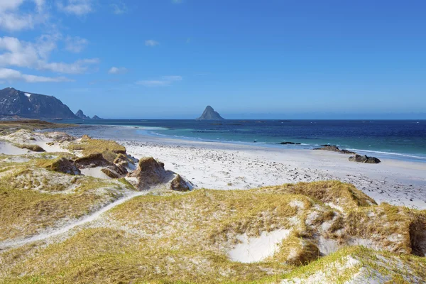 Noorse fjord — Stockfoto