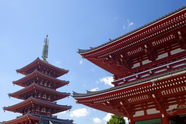 Asakusa Tapınağı