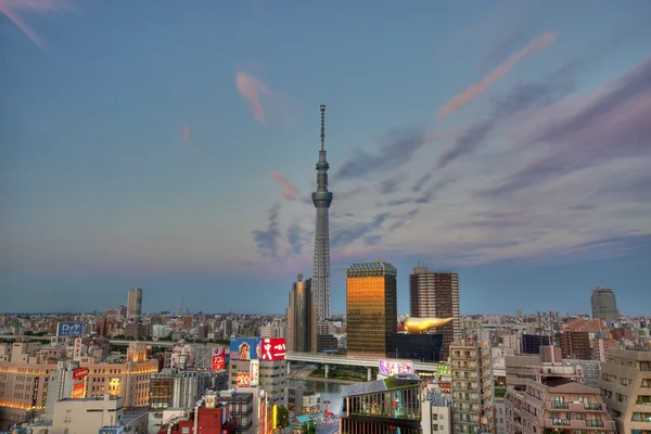 Tokyo panorama — Stock fotografie