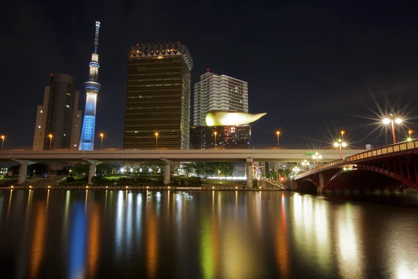 Tokyo siluetinin manzarasına — Stok fotoğraf