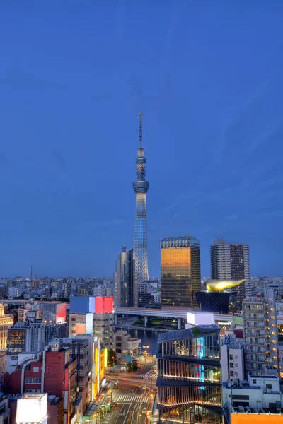 Tokyo Skyline, Tokyo city — Stock Photo, Image