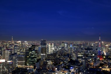 tokyo manzarası