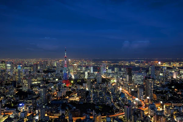 Tokyo panorama — Stock fotografie