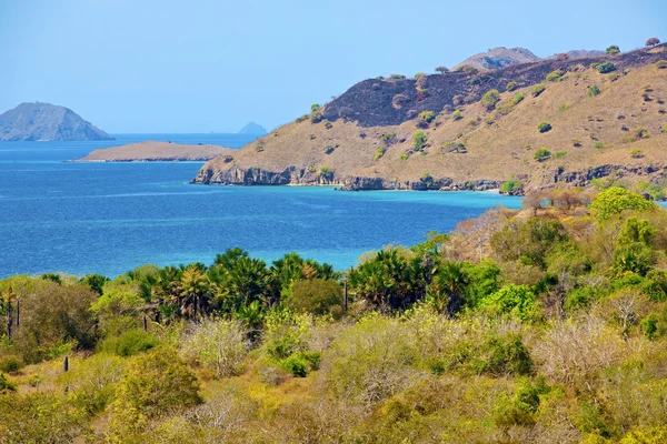 Insula Komodo — Fotografie, imagine de stoc