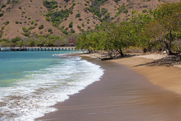 Isola di Komodo — Foto Stock