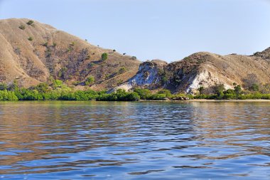 Komodo Adası