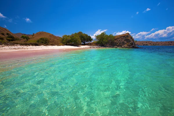 Spiaggia rosa — Foto Stock