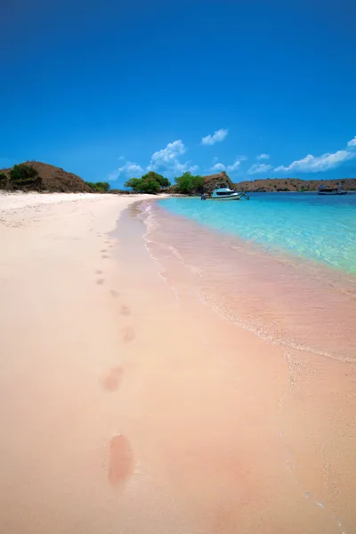 Praia rosa — Fotografia de Stock