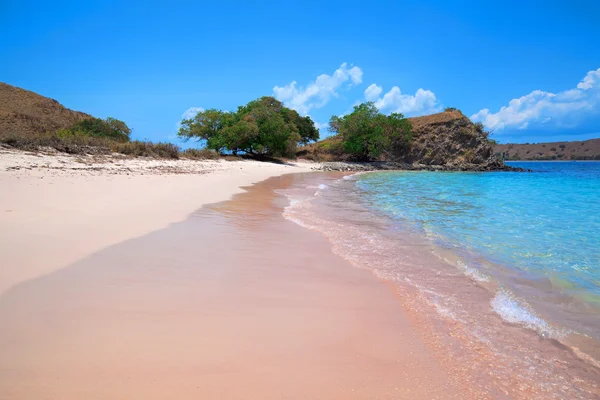 Playa rosa — Foto de Stock