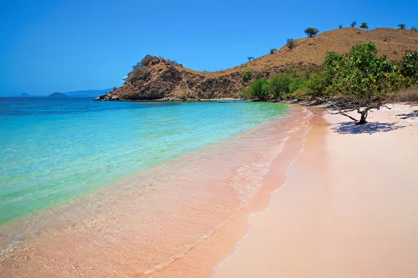 Praia rosa — Fotografia de Stock