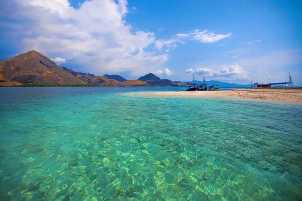 Île de Komodo — Photo