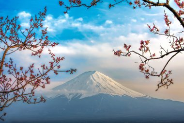 MT Fuji