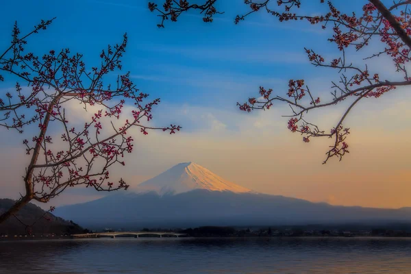 Monte Fuji. —  Fotos de Stock