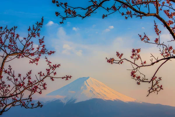Mt Fuji — Stock Photo, Image