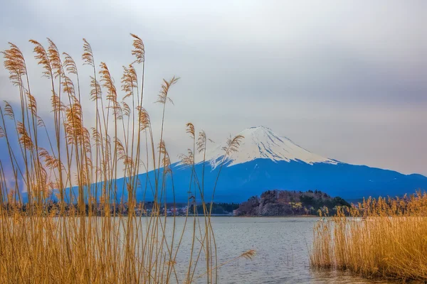 Monte Fuji. —  Fotos de Stock