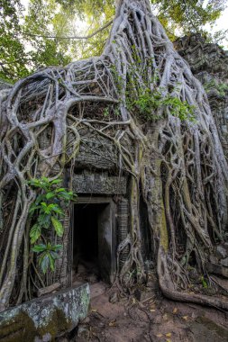 Sunrise üzerinde ta phrom