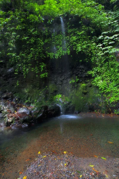 Водоспади Gitgit — стокове фото